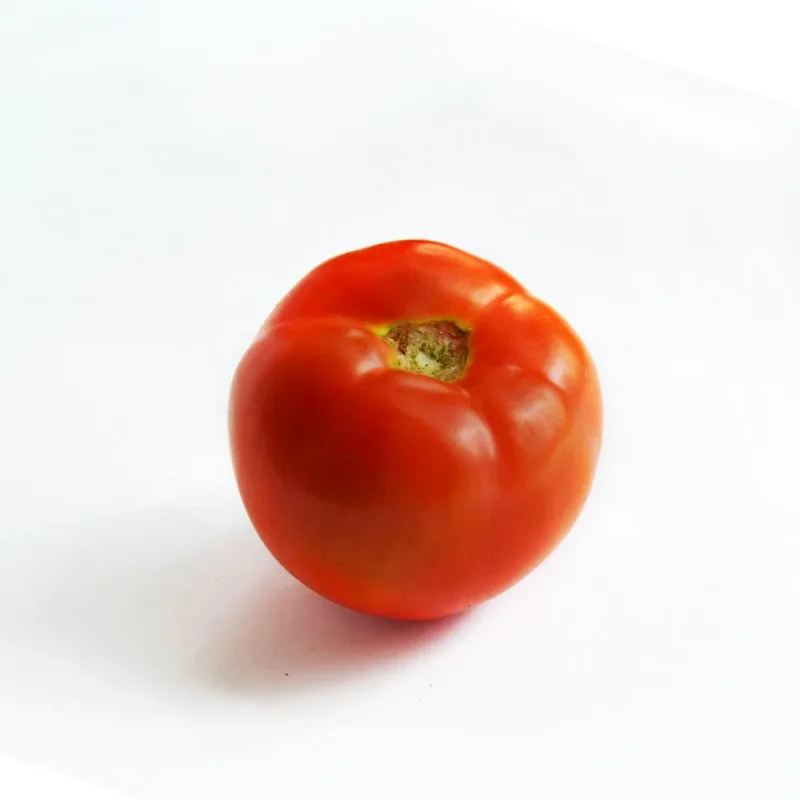 Tomate Chonto 1 und
