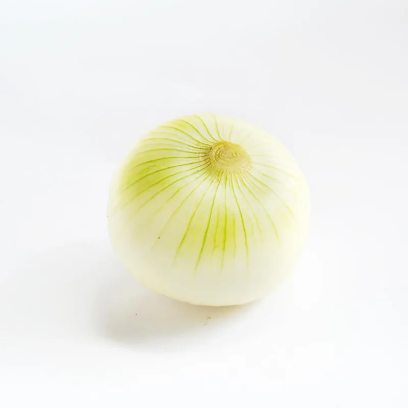 Cebolla Blanca 1 und
