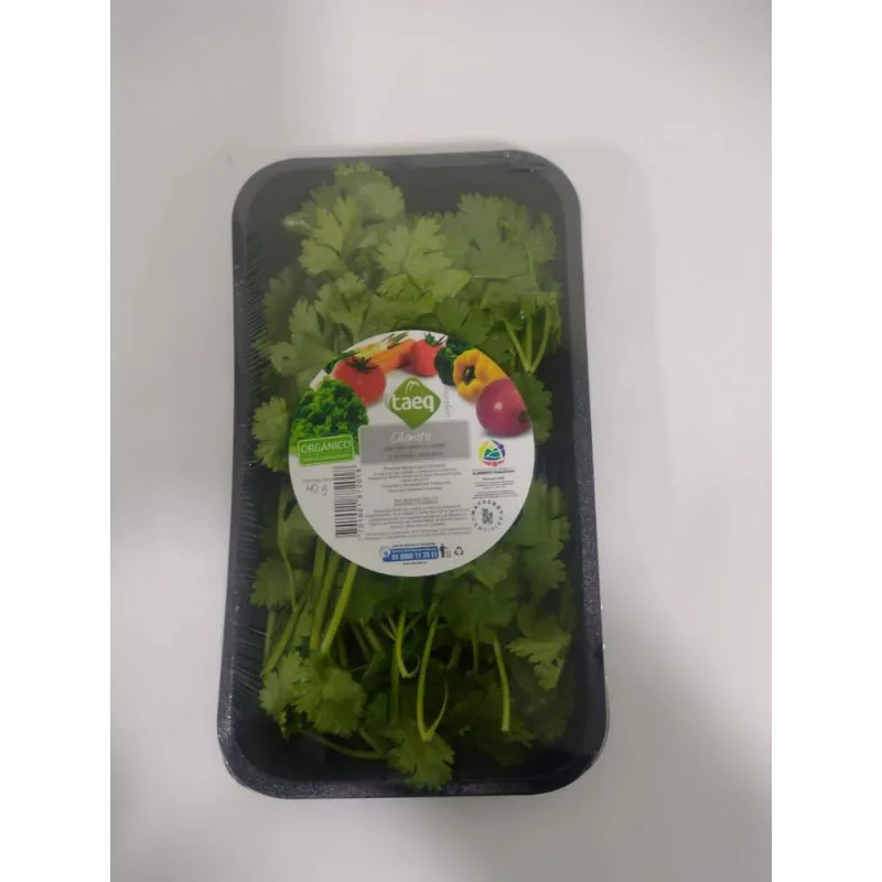 CILANTRO 40 gr