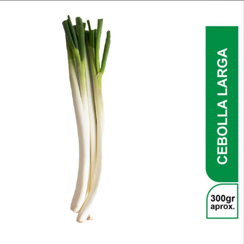 CEBOLLA JUNCA C 300 gr