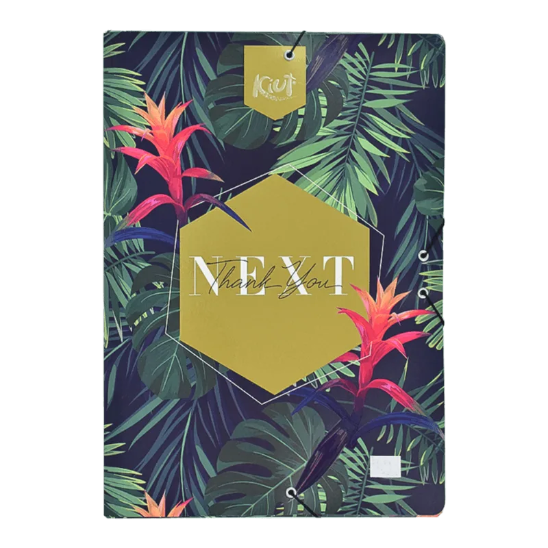 Carpeta Kiut