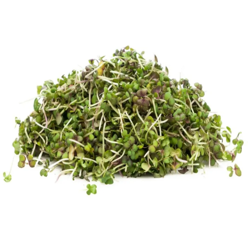 Brotes De Mostaza 50 gr