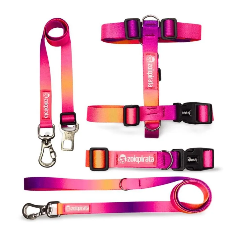 Kit Passeio Completo Para Cachorros Sunset