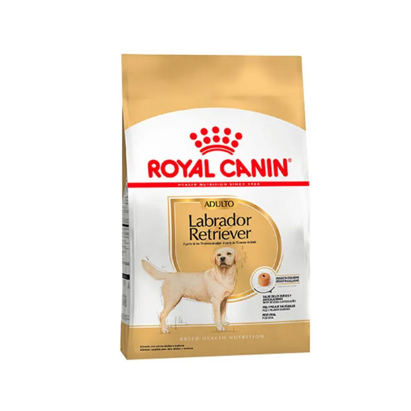 ROYAL CANIN LABRADOR ADULTO X 12 KG