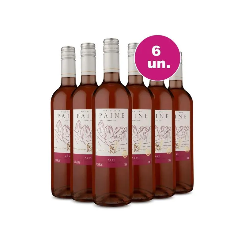 Kit Vinho Rosé Chileno Paine Rosé 2021 750ml 6 Garrafas