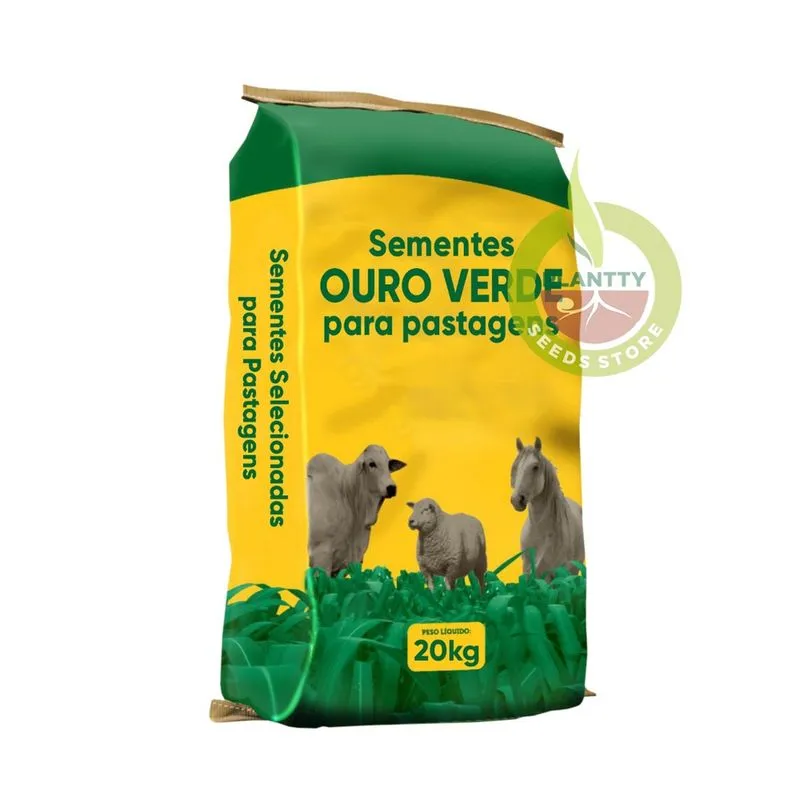 Semente Capim Brachiaria Brizantha Marandu 5 kg