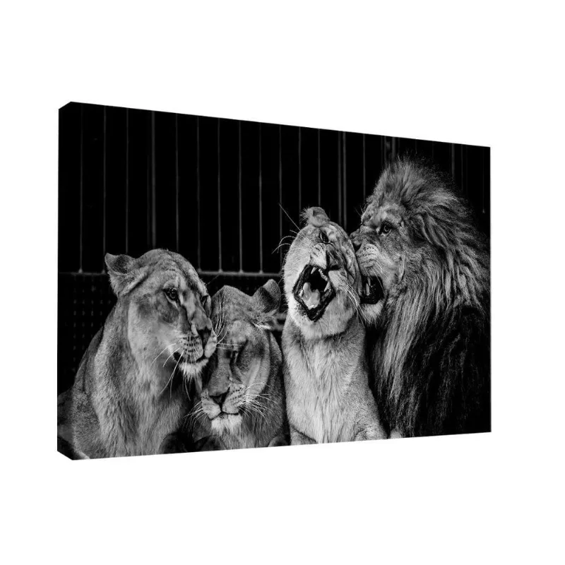 Quadro Lion Family Love -- Br Artes