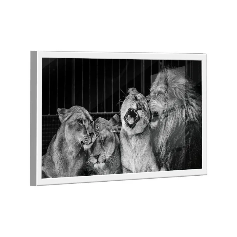 Quadro Lion Family Love -- Br Artes
