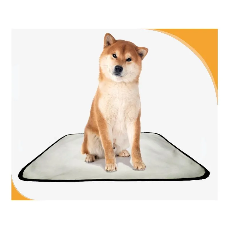 Tapete Higiênico Para Cães, Pet, Lavável, 5 Un M - 60x80 Cm