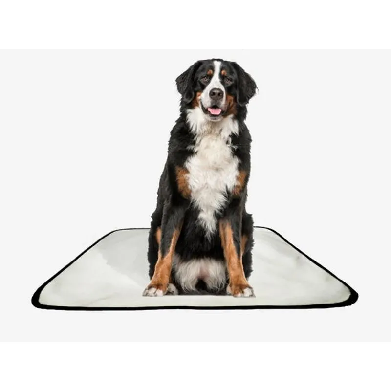 Tapete Pet Lavável Adestramento Higiênico 4 Un G2 120x120cm