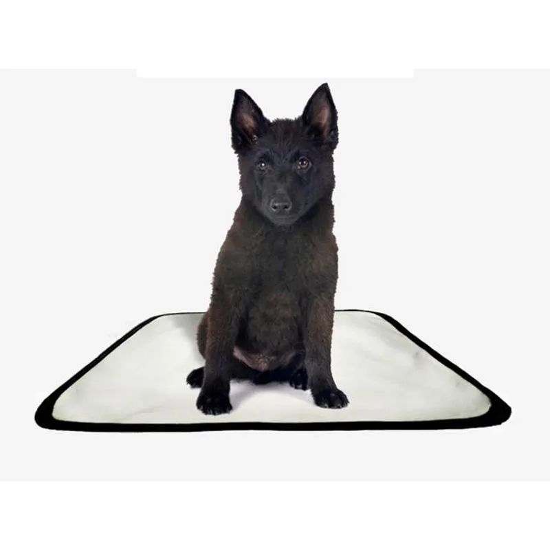 Tapete Pet Lavável Educador Higiênico 2 Un P 50x60cm