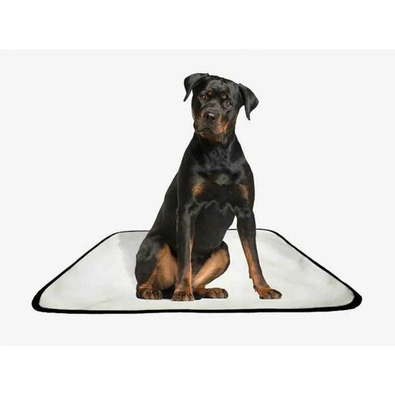 Tapete Pet Lavável Educador Higiênico 2 Un G 90x100cm