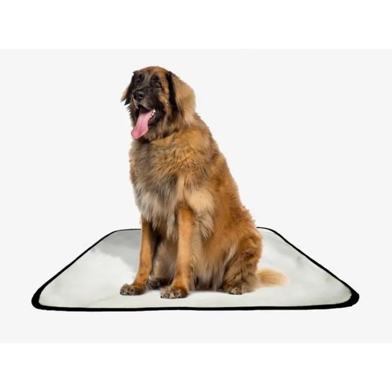 Tapete Pet Lavável Educador Higiênico 2 Un G1 100x120cm