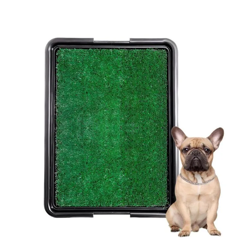 Sanitário De Grama Banheiro Pet + Base Para Parte De Baixo