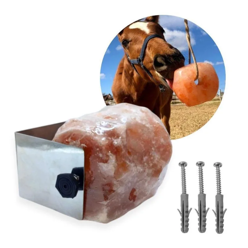 Kit Suporte Aço Inox + Bloco De Sal Rosa