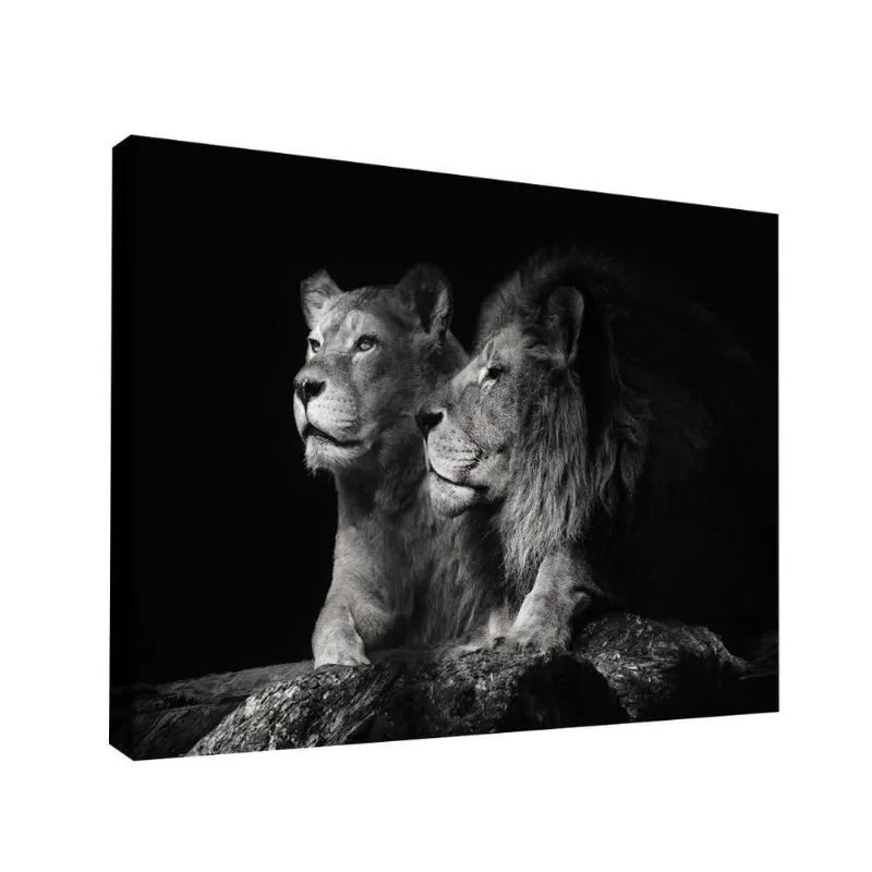 Quadro Casal De Leões -- Br Artes