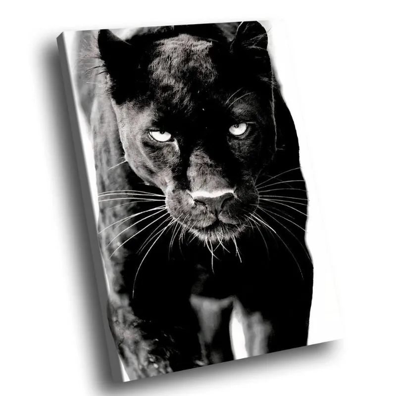 Quadro Decorativo Pantera