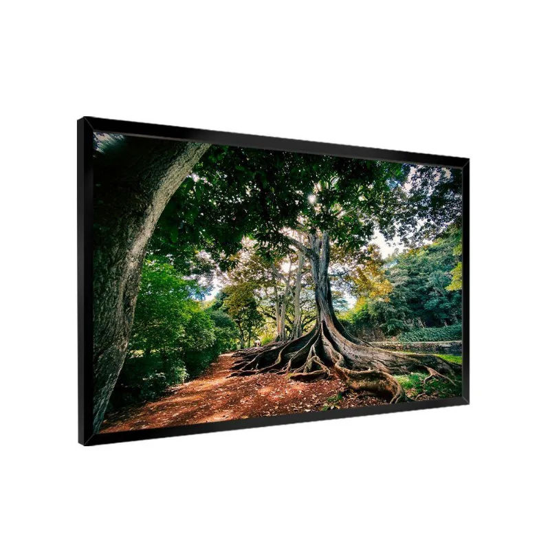 Quadro Raízes Da Natureza -- Br Artes
