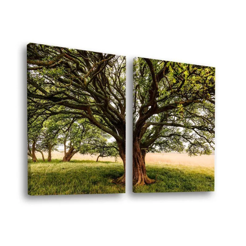 Quadro Decorativo Dupla Beautiful Tree