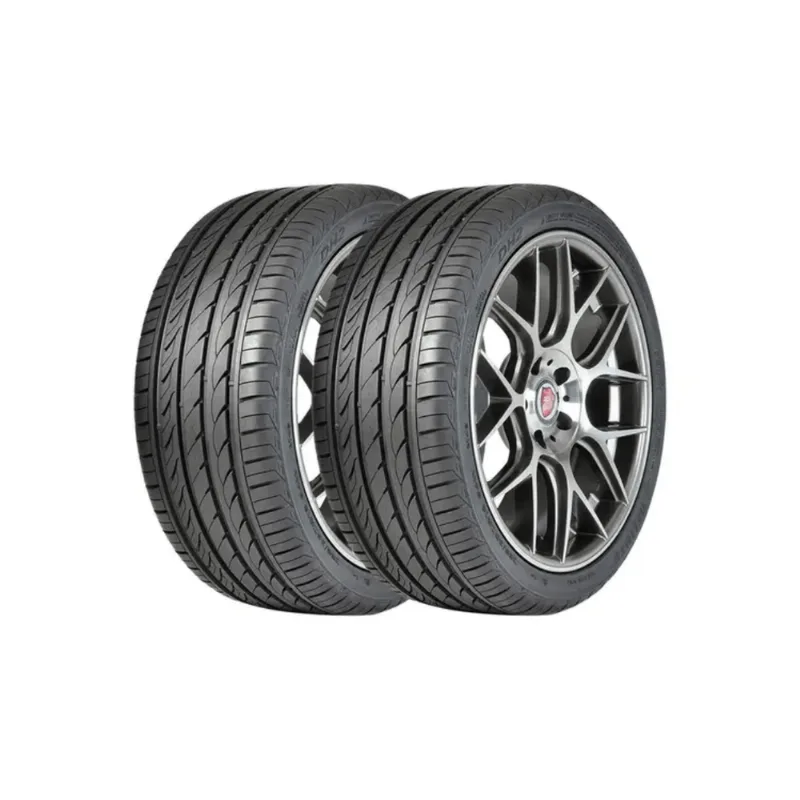 Kit 2 Pneus Delinte Aro 16 205/65 R16 99h Xl Dh2