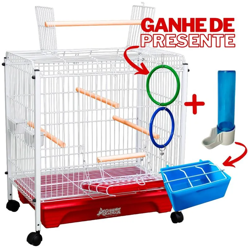 Viveiro Calopsitas Papagaios Grande Aves Mansas - Vermelho
