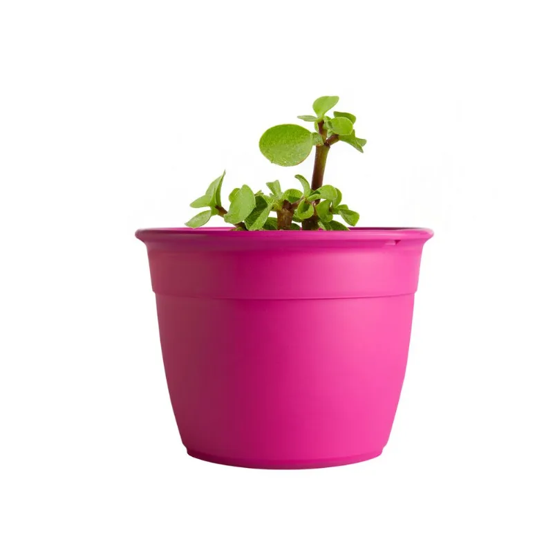 Maceta simil 20 cm fucsia