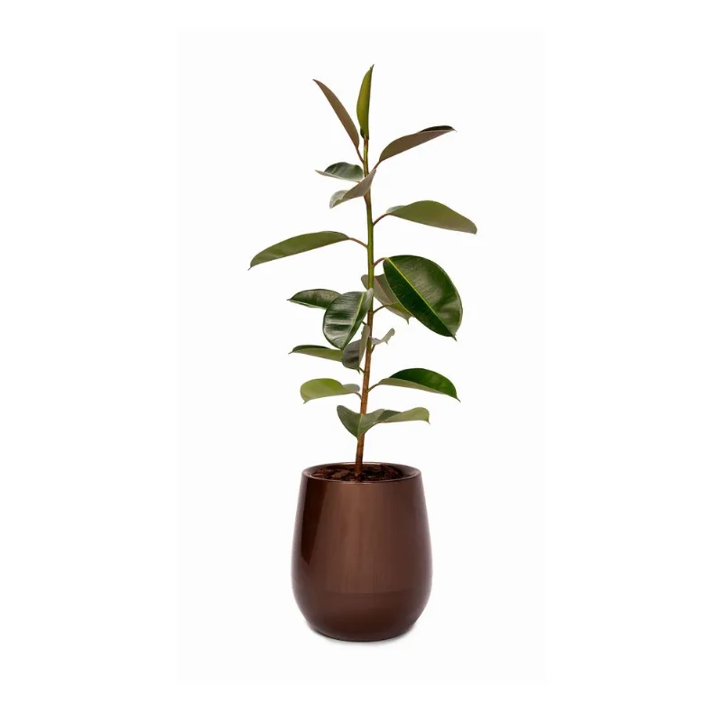 Maceta Beruplast uovo negro 50x44 cm