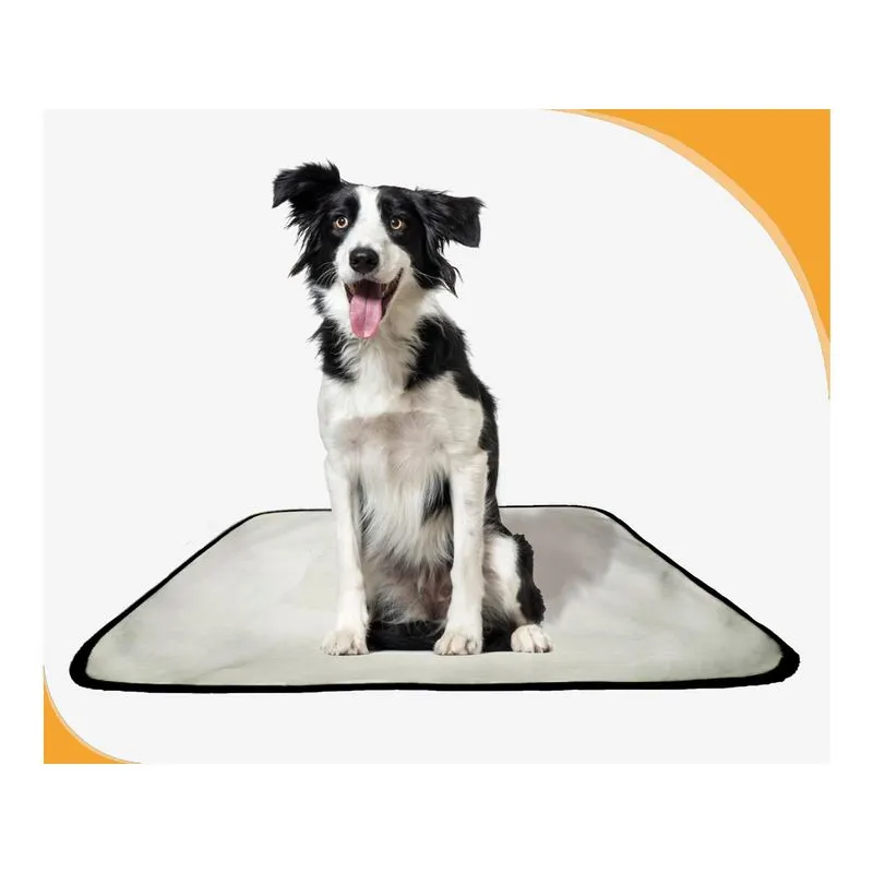 Tapete Para Xixi De Cachorro Pet, 4 Unidades M 60x80 Cm
