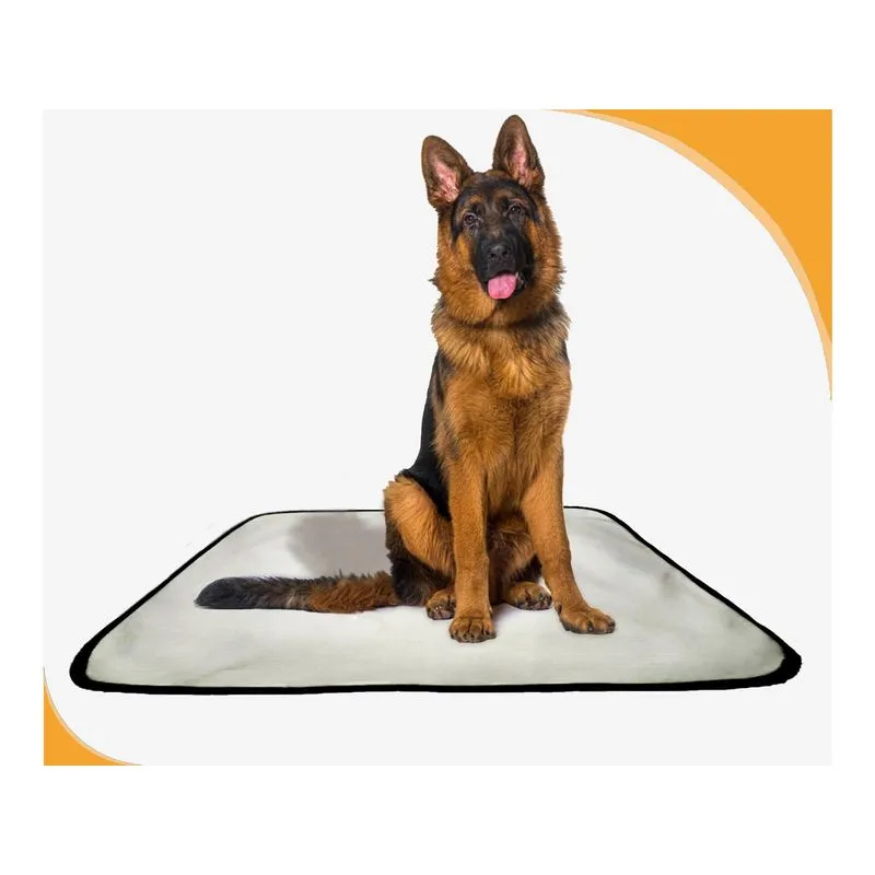 Tapete Para Xixi De Cachorro Pet, 1 Unidade G 90x100cm