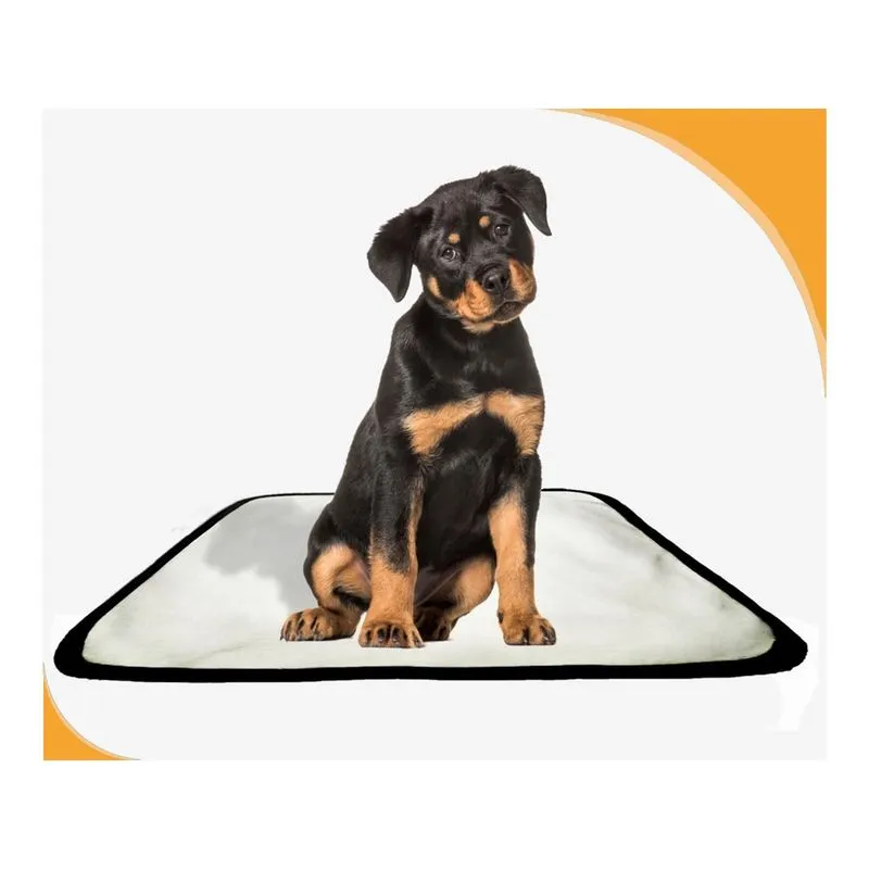 Tapete Para Cachorros Em Oferta Pet 1Un P - 50 X 60 Cm