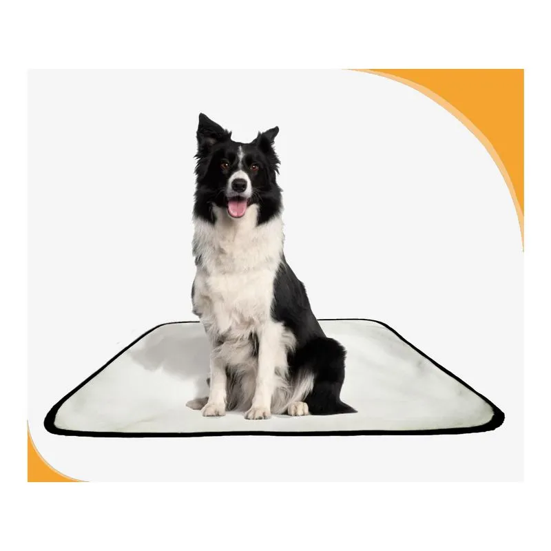 Tapete Canino Lavável Pet Em Oferta 2un M - 60 X 80 Cm
