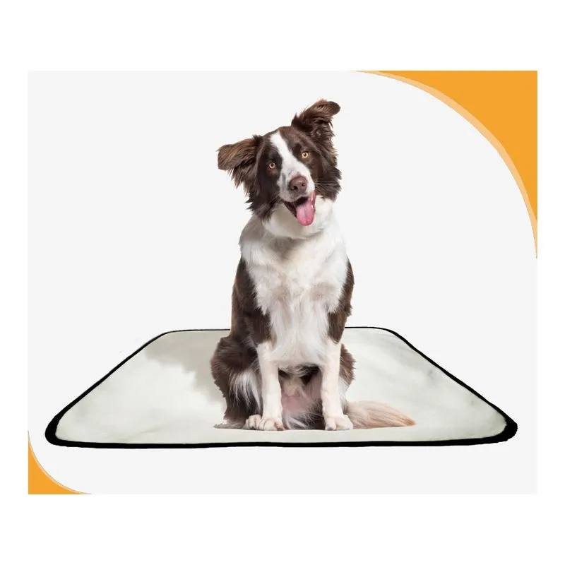 Banheiro Canino Lavável Pet Em Oferta 5un M - 60 X 80 Cm
