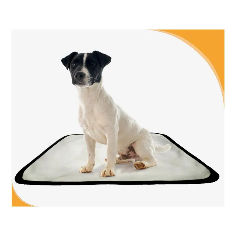 Tapete Pet Banheiro Lavável Pet Em Oferta 10un P 50x60cm