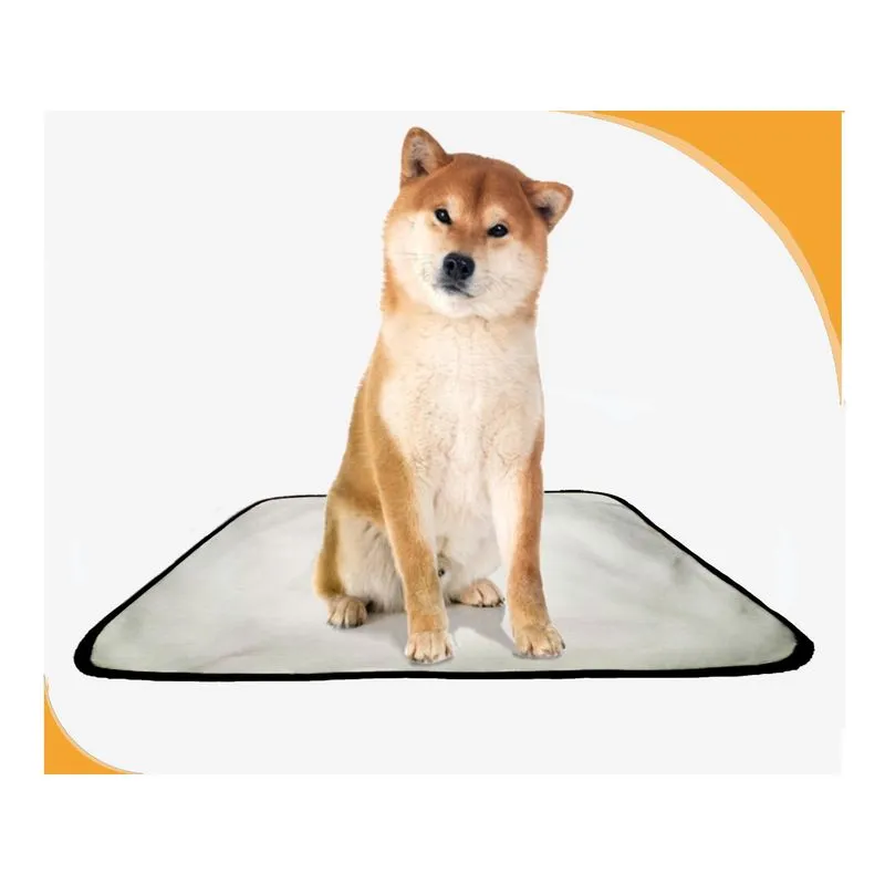 Tapete Pet Banheiro Lavável Pet Em Oferta 5un M - 60 X 80 Cm