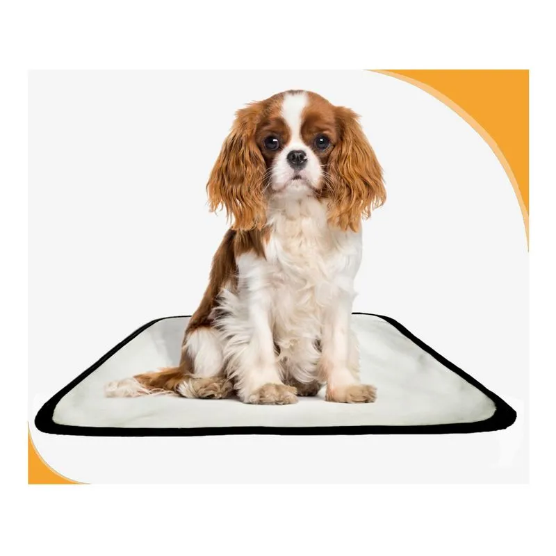 Tapete Para Pets Lavável Canino Em Oferta 3 Un P 50x60cm