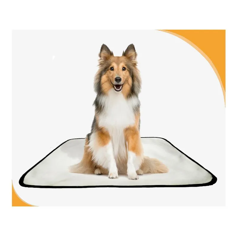 Tapete Pets Lavável Canino Em Oferta 10 Un M - 60 X 80 Cm