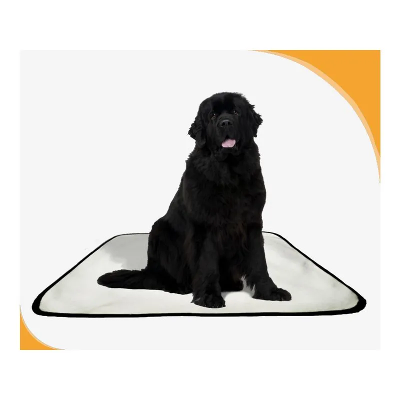 Tapete Para Pets Lavável Canino Prático 10 Un M - 60 X 80 Cm