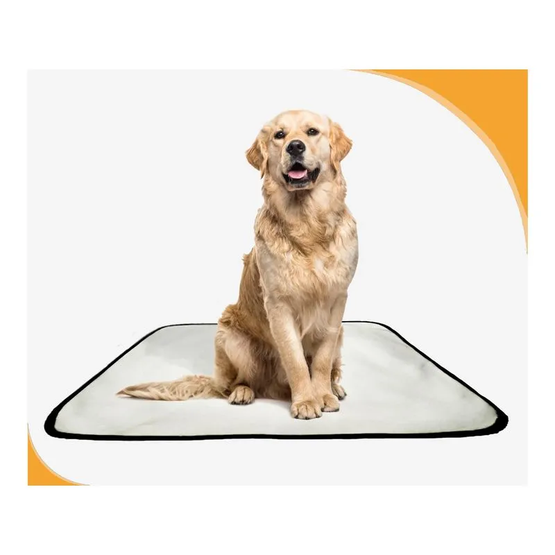 Tapete Para Pets Lavável Canino Prático 10 Un G 90x100cm