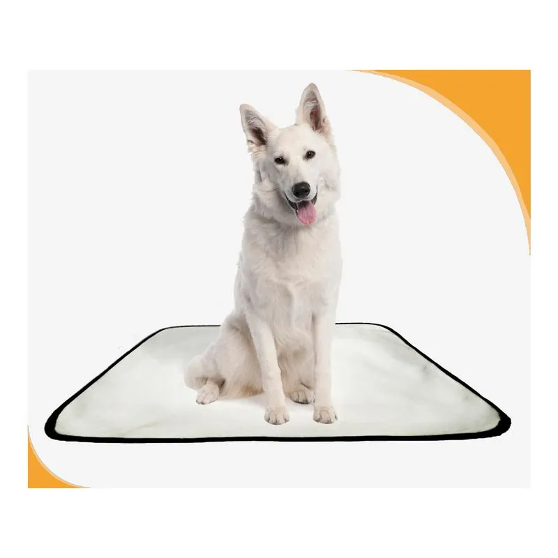 Tapete Para Pets Lavável Higiênico Prático 1 Un M- 60x80 Cm