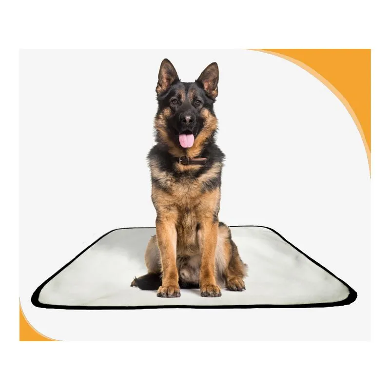 Tapete Para Pets Lavável Higiênico Prático 4 Un G 90x100cm
