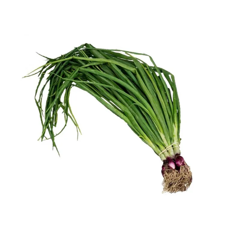Cebolla de Verdeo x Kg
