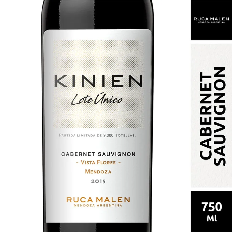 Vino Kinien Cab/suav X750cc