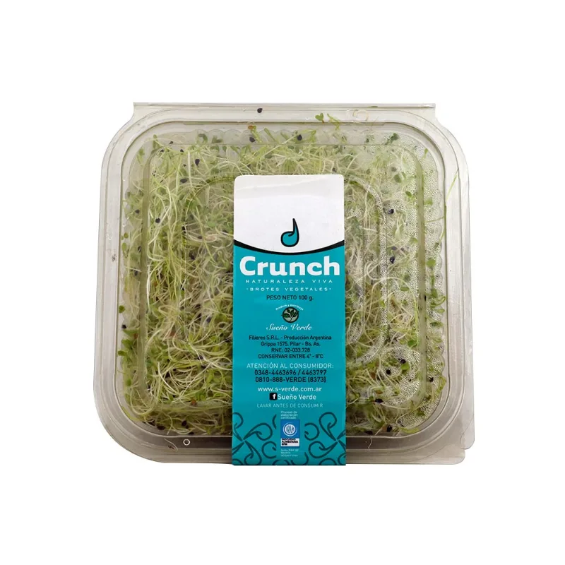 Brote De Cebolla Sueño Verde 100 Gr