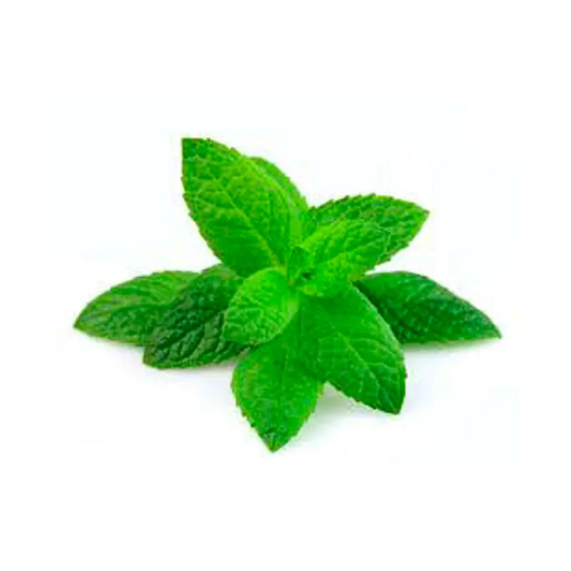 Menta Inglesa Sueñ