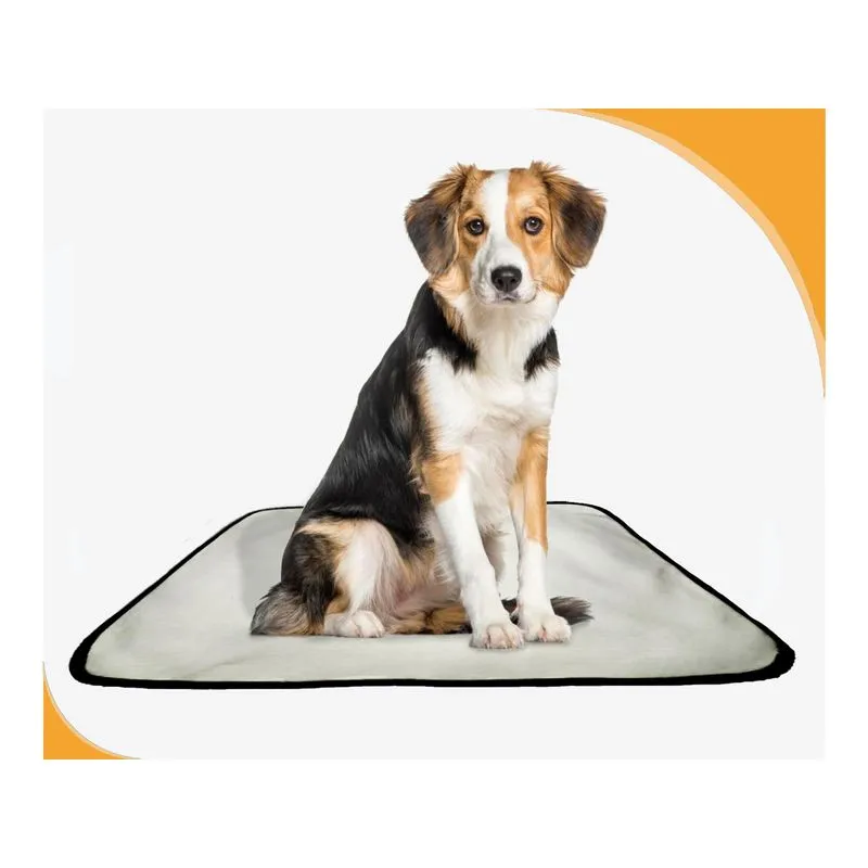 Tapetes Higiênicos Pet Lavável Absorvente 1 Un M - 60x80 Cm