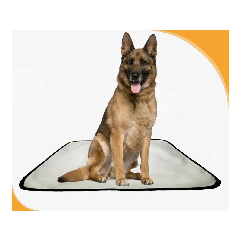 Tapete Higiênico Canino Absorvente Pet 3 Un G - 90 X 100 Cm