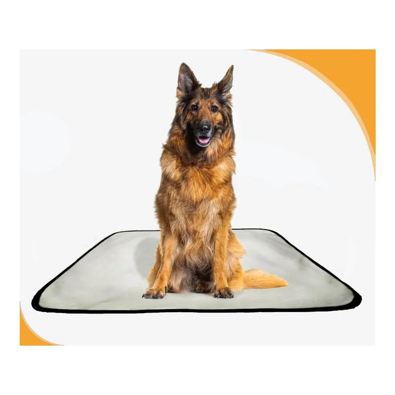 Tapete Pet Para Cães, Higiênico, Lavável, 3 Un G - 90x100 Cm