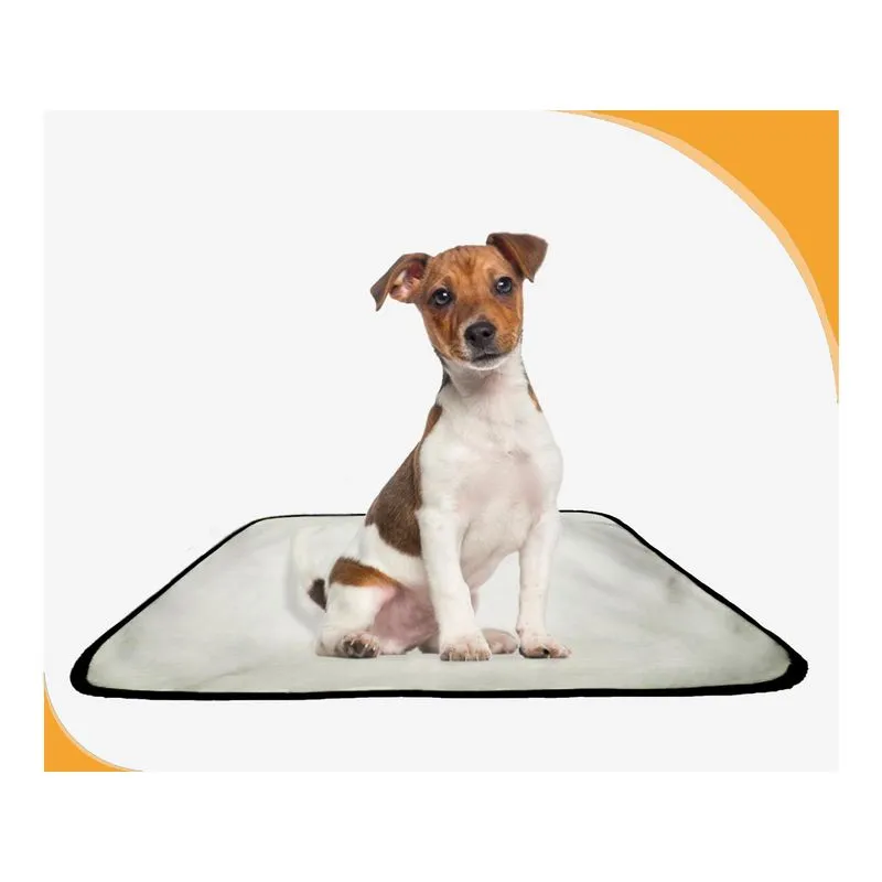 Tapete Dog Para Cães Lavável Absorvente 10 Un M - 60x80 Cm