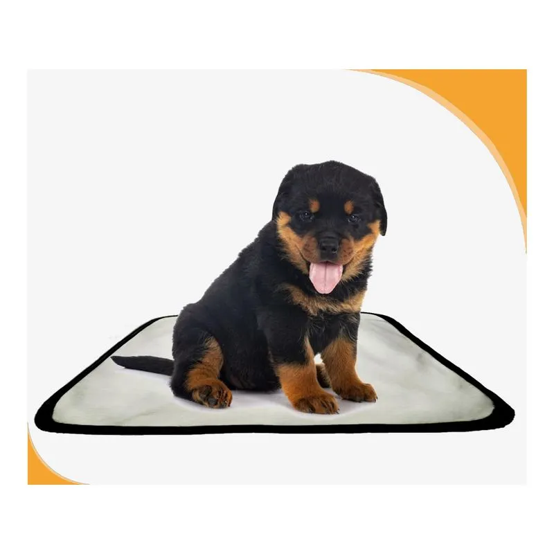 Tapete Dog Higiênico Lavável Absorvente 3 Un P - 50x60 Cm