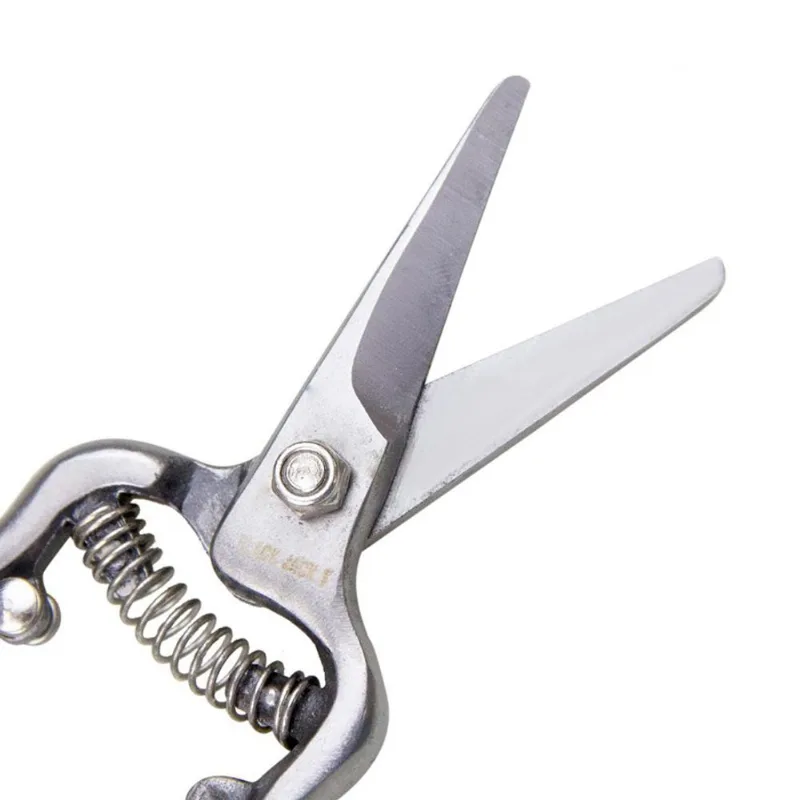 Tesoura De Poda Reta De 6'' - Black Jack